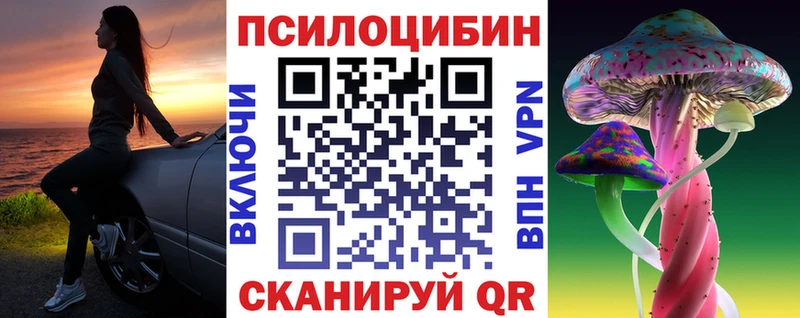 Галлюциногенные грибы Psilocybe  Лихославль 
